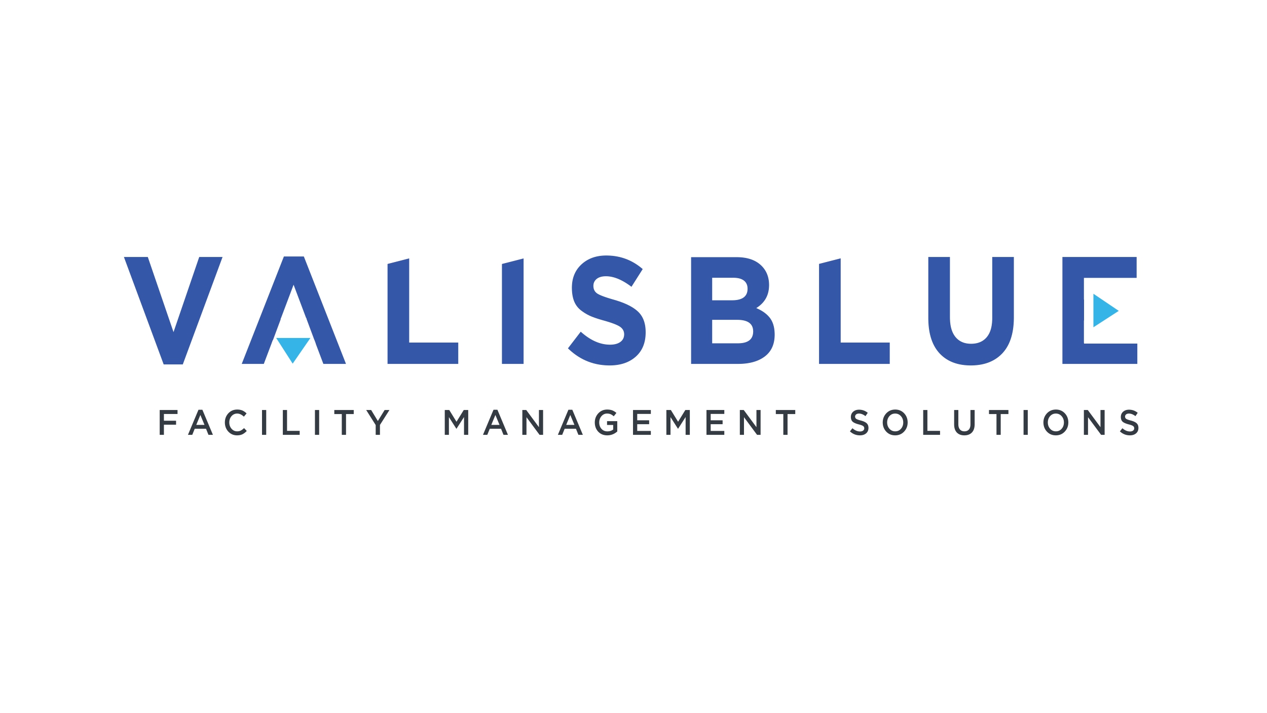 BLUE VIBE SRL