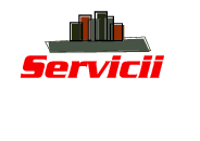 SERVICII